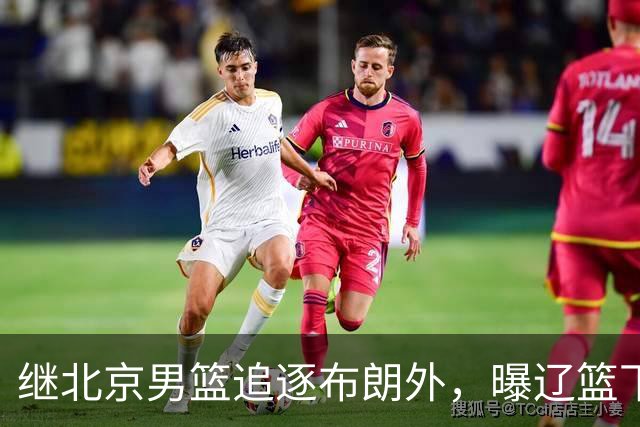 继北京男篮追逐布朗外，曝辽篮下场竞价，李楠或被截胡，好戏来了